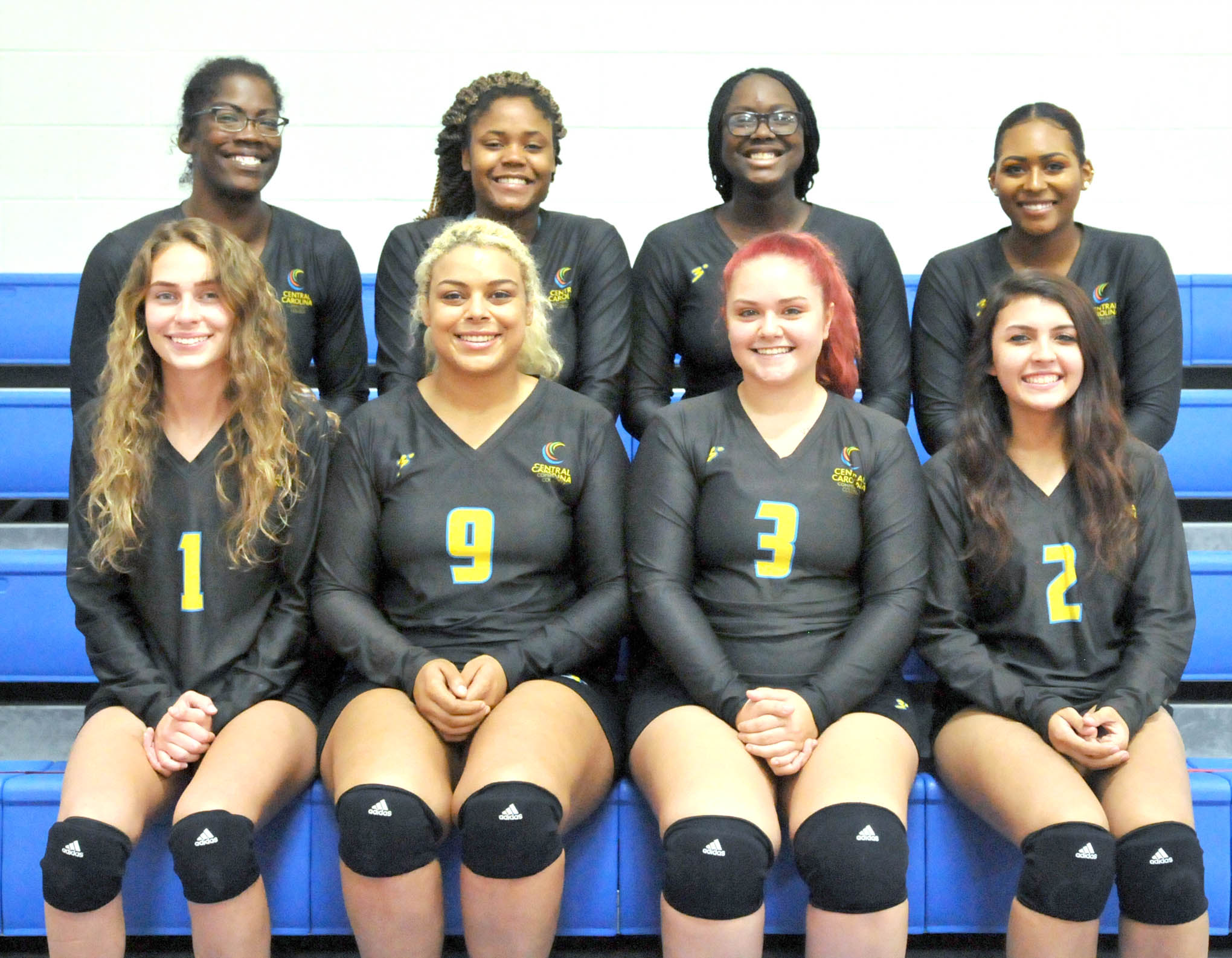 CCCC volleyball set for 2018 season 08/27/2018 - News Archives, CCCC
