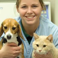 The Central Carolina Community College Veterinary Medical Technology Program has seats available for Fall 2023. If interested, please connect to an Education Navigator at https://www.cccc.edu/onboarding/contacts/. Students will be accepted on a "First Qualified, First Accepted" basis. Find more information at https://www.cccc.edu/onboarding/competitive-admissions/. Questions? Call us at 919-718-7300.