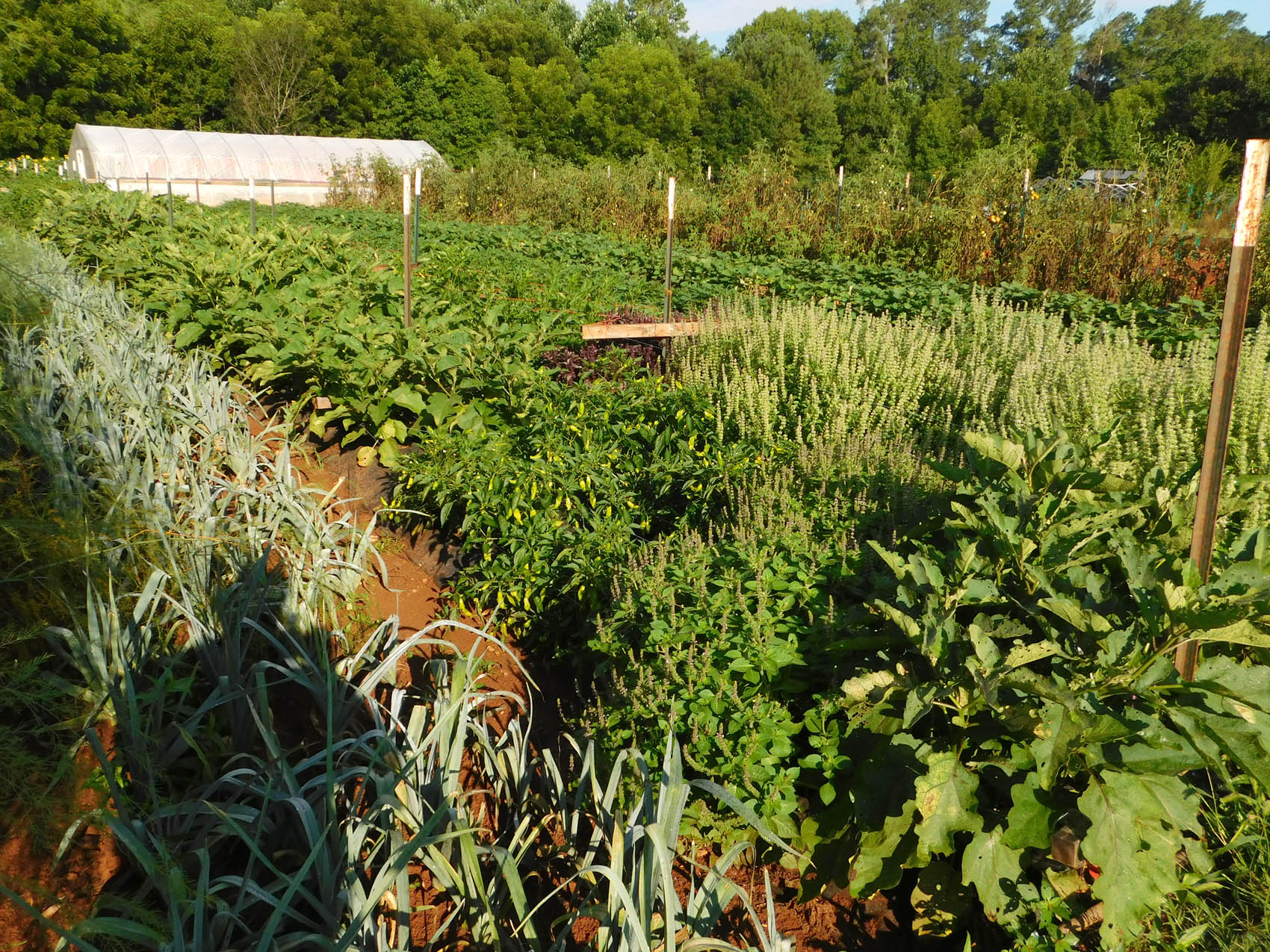 CCCC Sustainable Agriculture program is awarded grant