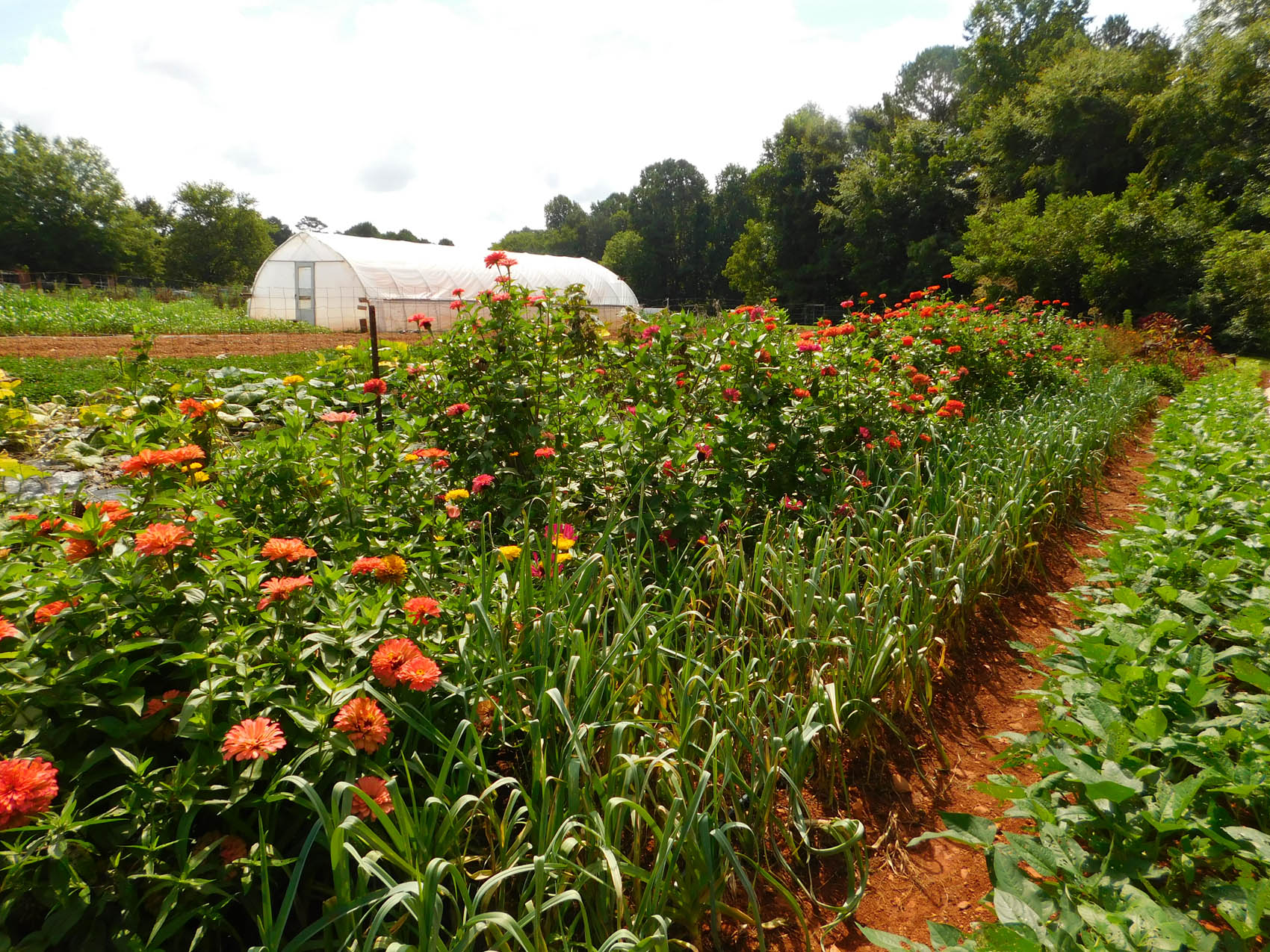 CCCC Sustainable Agriculture program is awarded grant