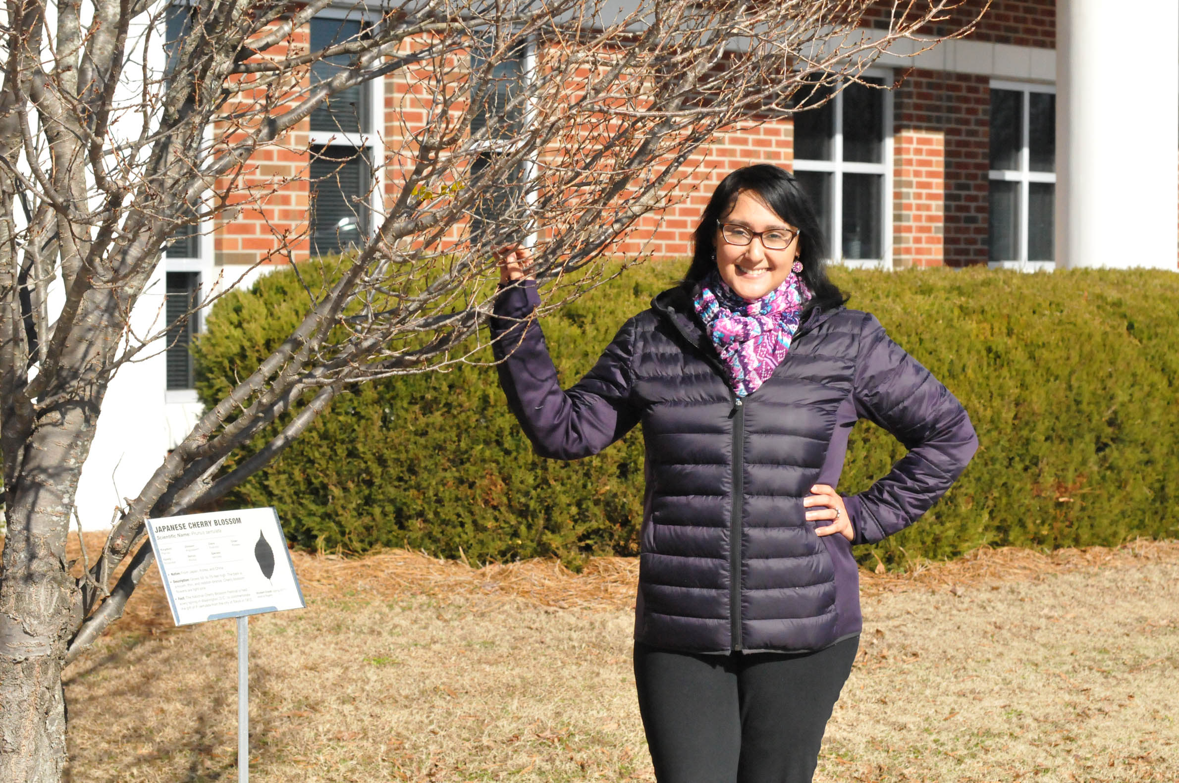 Click to enlarge,  Central Carolina Community College Biology Instructor Anthea Saez stands beside one of the trees selected for the "Tree Identification Project" on the CCCC Lee Main Campus in Sanford. 