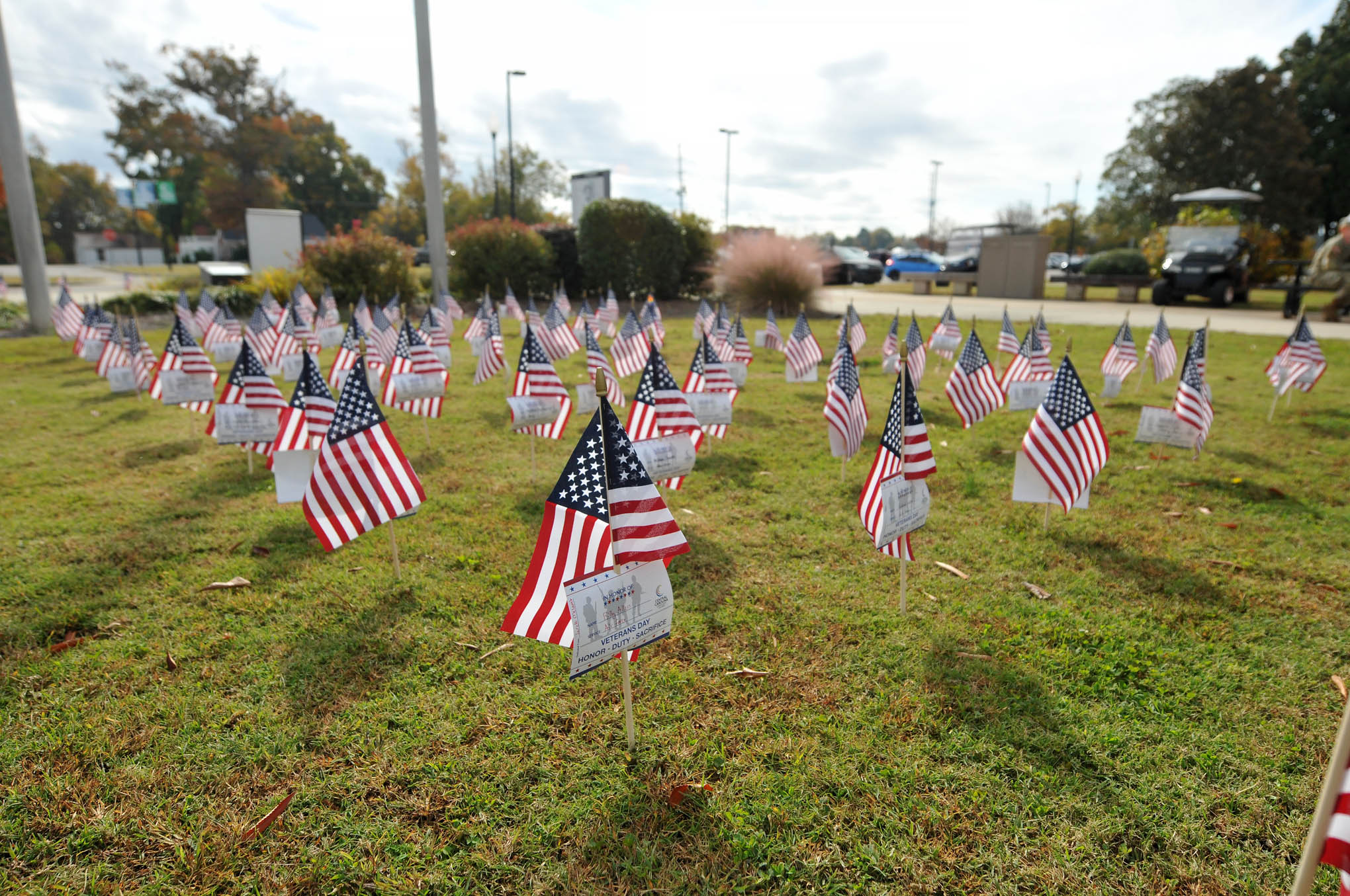 Click to enlarge,  This field of flags was visible at the Central Carolina Community College Veterans Day Ceremony on Thursday, Nov. 11. 