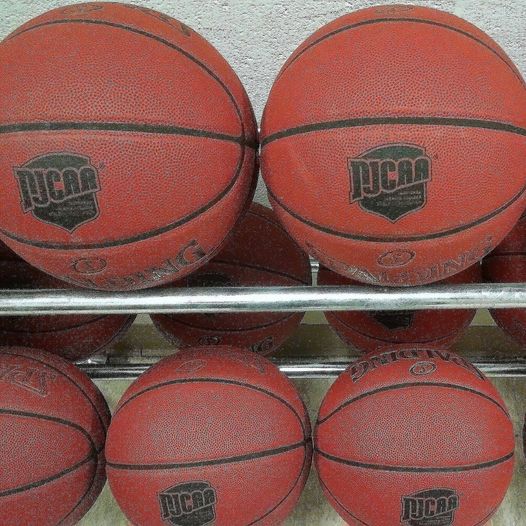 Read the full story, CCCC basketball to host camps