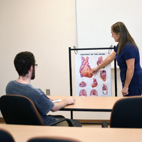 Instructor showing student the parts of the heart 