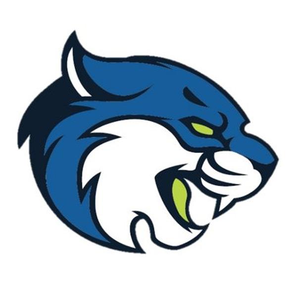 Bryant & Stratton College Bobcats Logo