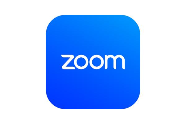 Zoom Logo